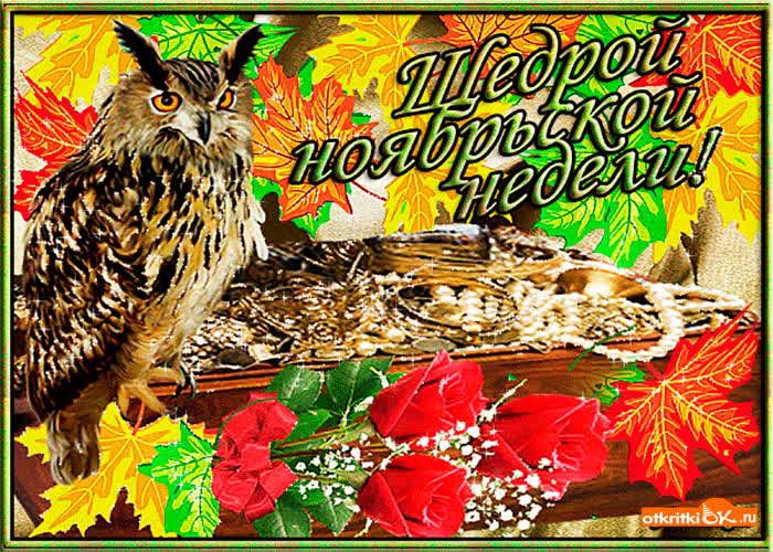 Картинка щедрой ноябрьской недели