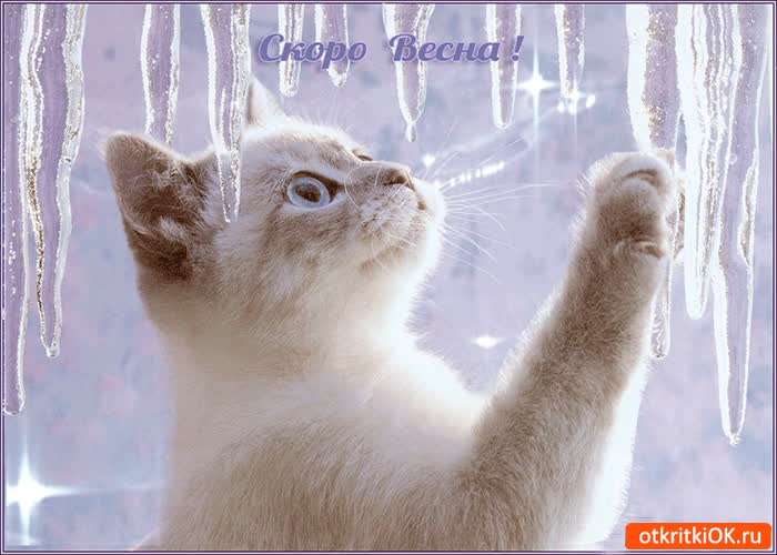 Картинка скорей бы весна