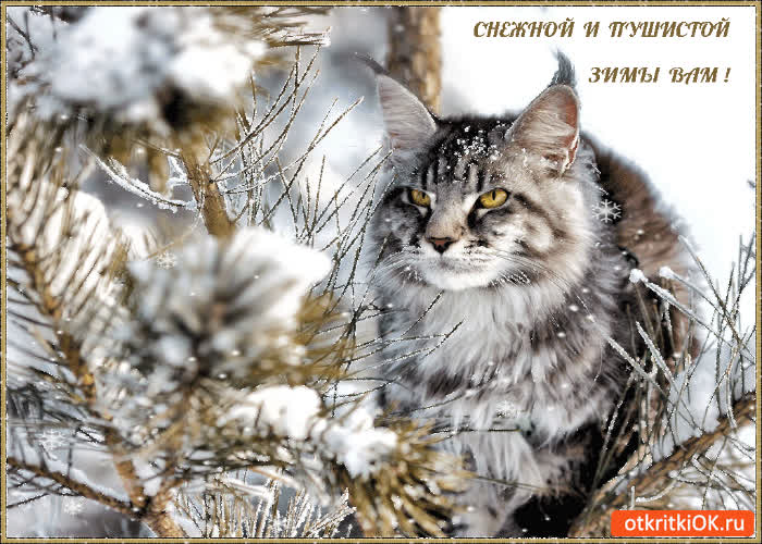 Картинка снежной и пушистой вам зимы