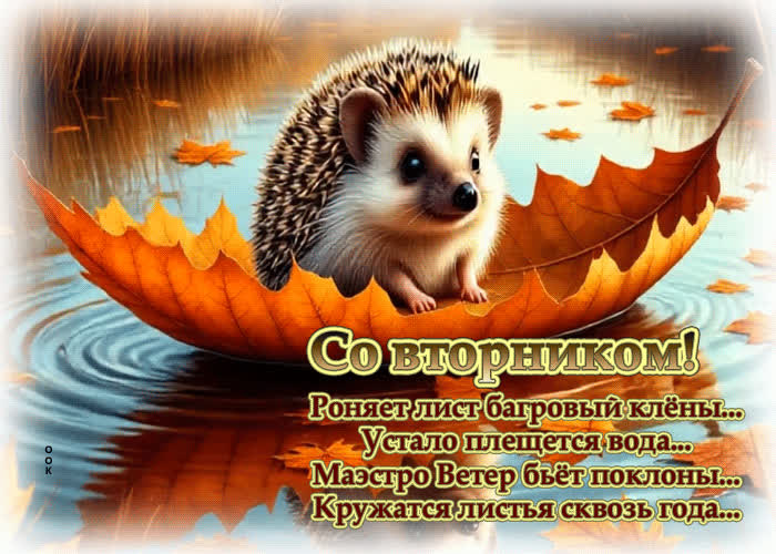 Picture со вторником! роняет лист багровый клены