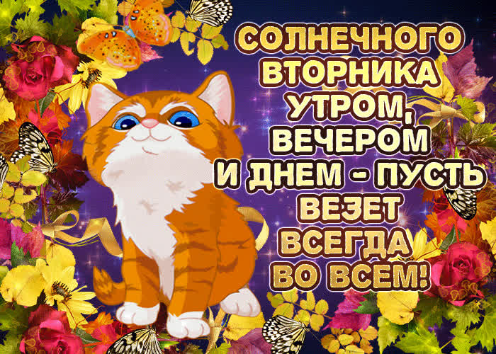 Картинка солнечного вторника