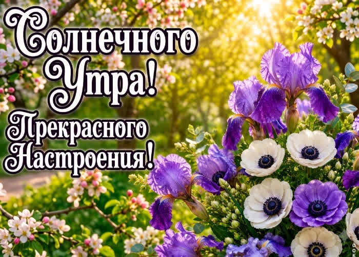 Picture солнечного утра желаю самому прекрасному человеку
