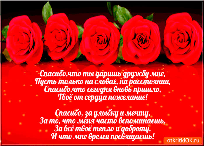 Картинка спасибо что ты даришь дружбу