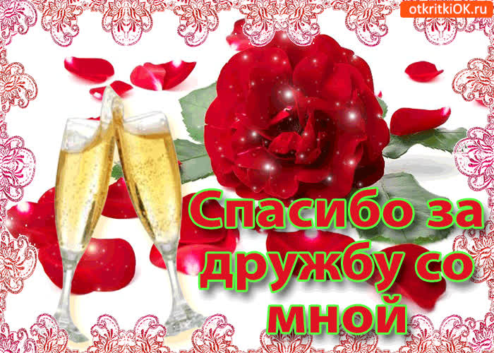 Картинка спасибо за дружбу со мной!