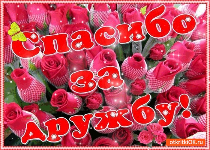 Картинка спасибо за крепкую дружбу