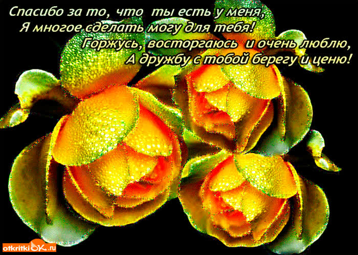 Картинка спасибо за то что ты есть у меня