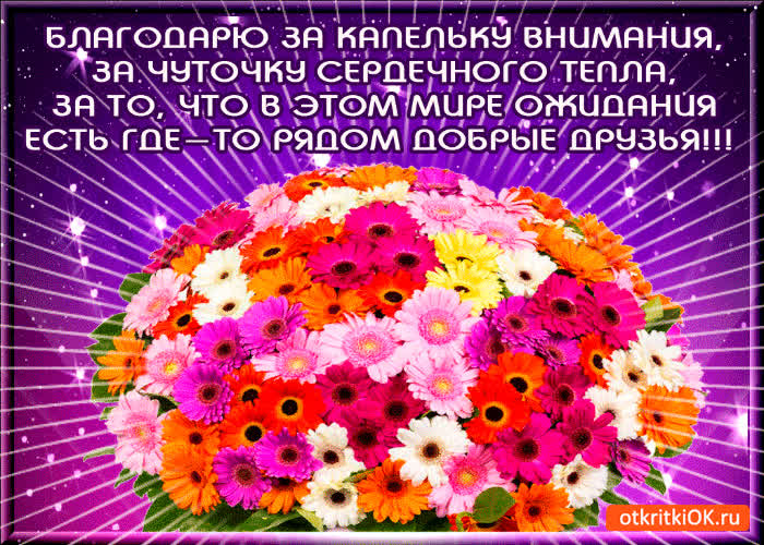 Картинка спасибо за внимание