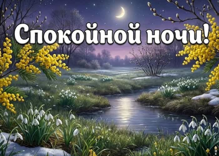 Postcard спокойной весенней ночи. пусть за окном царит тишина, а впереди ждёт светлое утро.