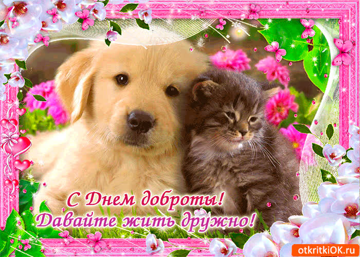 Картинка станем чуточку добрее
