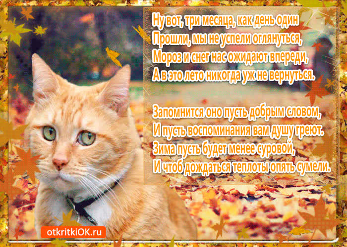 Картинка стихи наступление осени