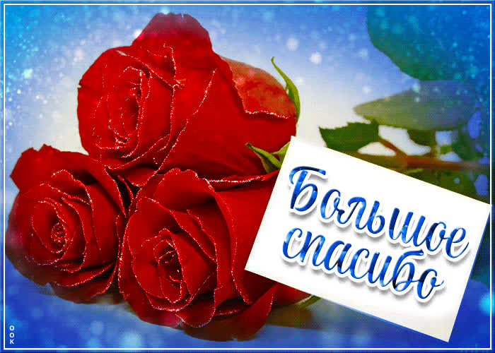 Postcard светлая открытка большое спасибо