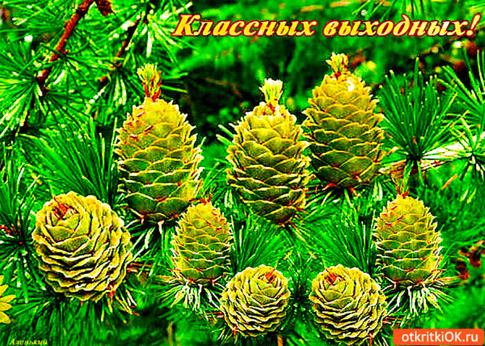 Картинка тебе классных выходных желаю