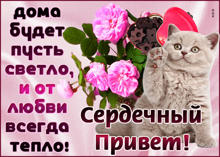 Картинка тебе, мой пушистый приветик