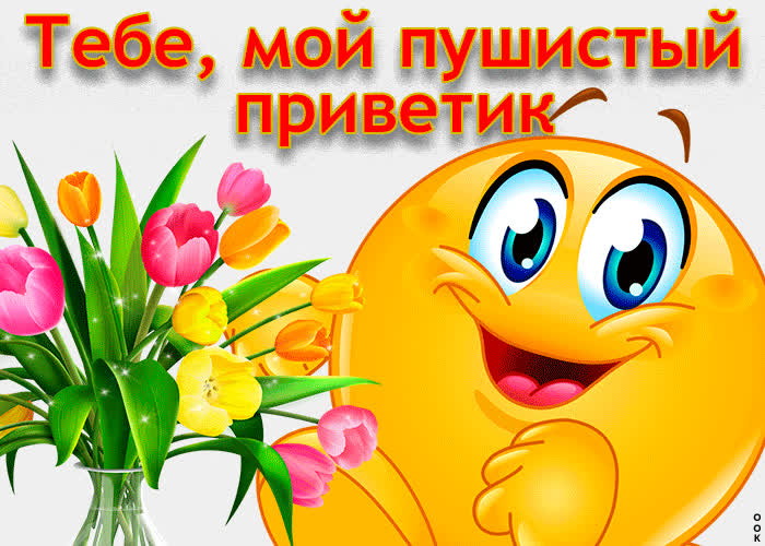 Картинка тебе мой пушистый приветик!