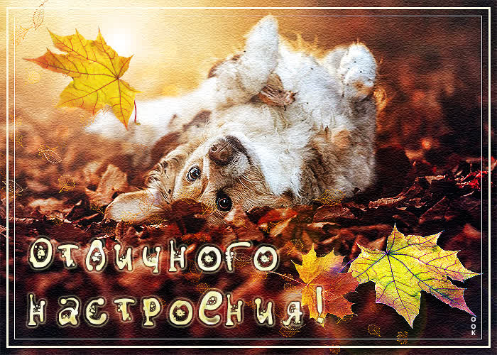 Картинка тебе от меня солнечного настроения