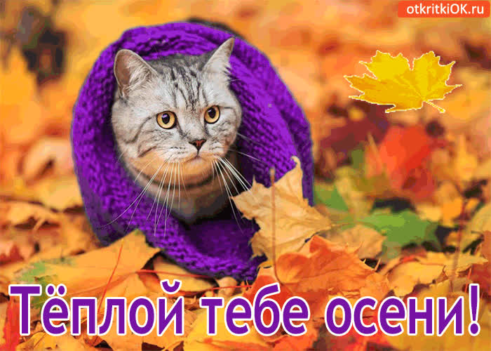 Картинка тёплой тебе осени!