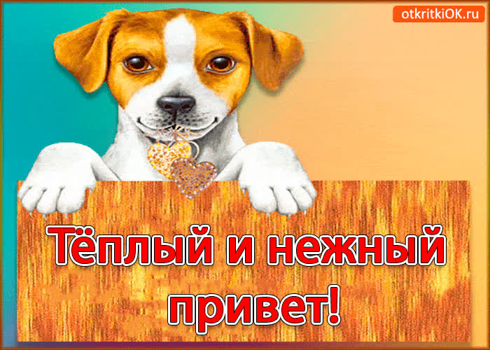 Картинка тёплый и нежный привет!