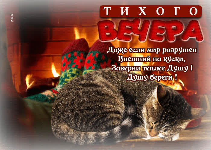 Picture тихого вечера! заверни теплее душу! душу береги