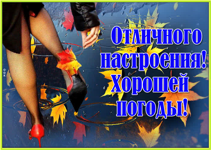 Postcard трогательная и веселая гиф-открытка отличного настроения, хорошей погоды