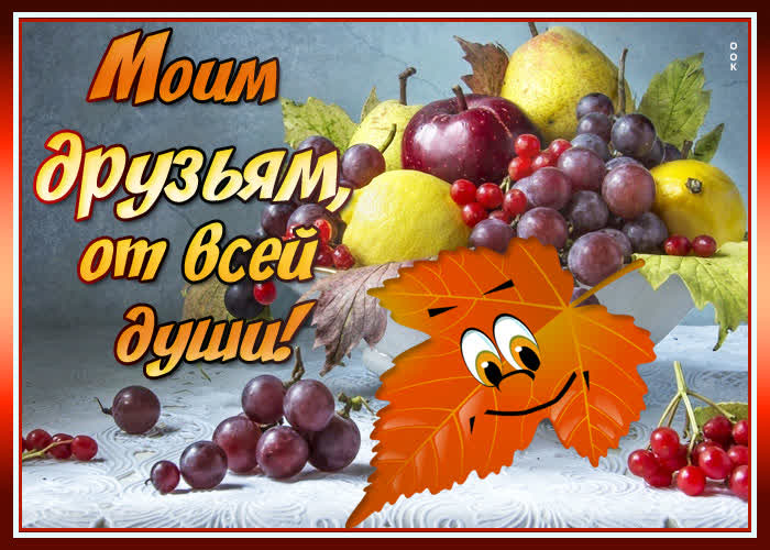 Картинка ценю верных друзей