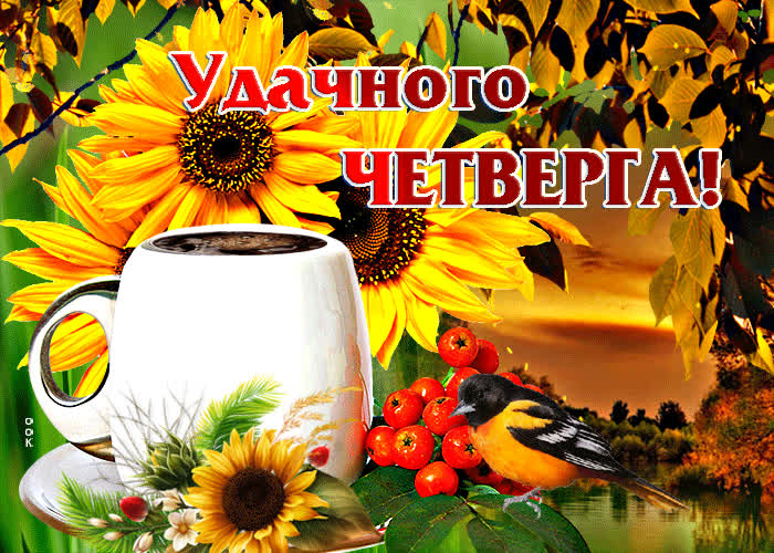 Postcard творческая гиф-открытка удачного четверга!