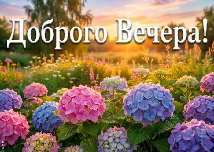 Postcard тёплого вечера и мягкого заката.