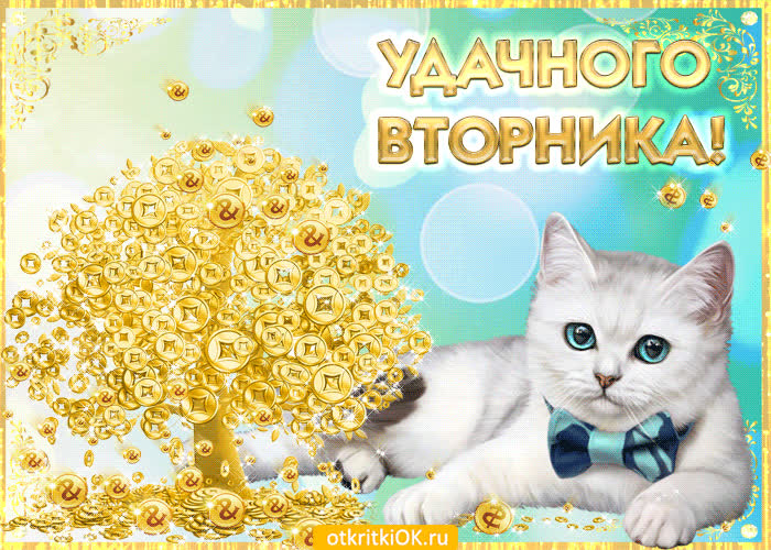 Картинка удачного вторника