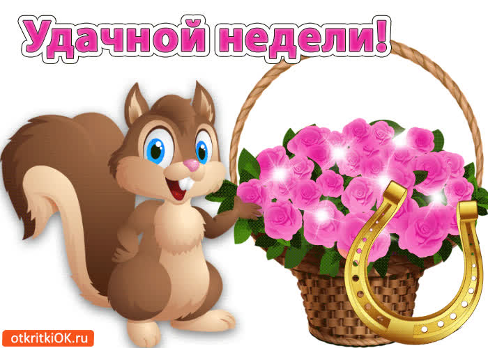 Картинка удачной недели!