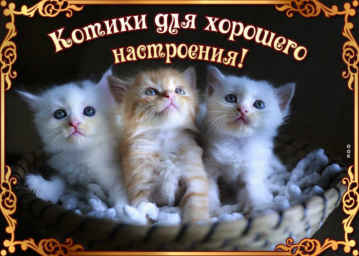 Картинка улыбнись и мир улыбнётся тебе