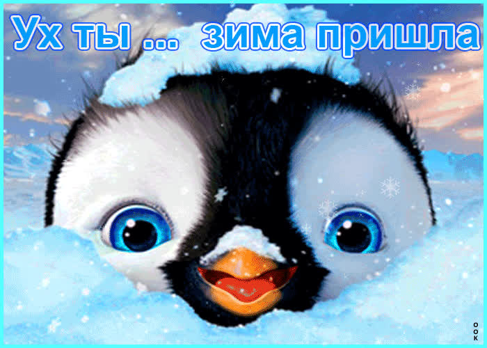 Картинка ух ты! зима пришла!