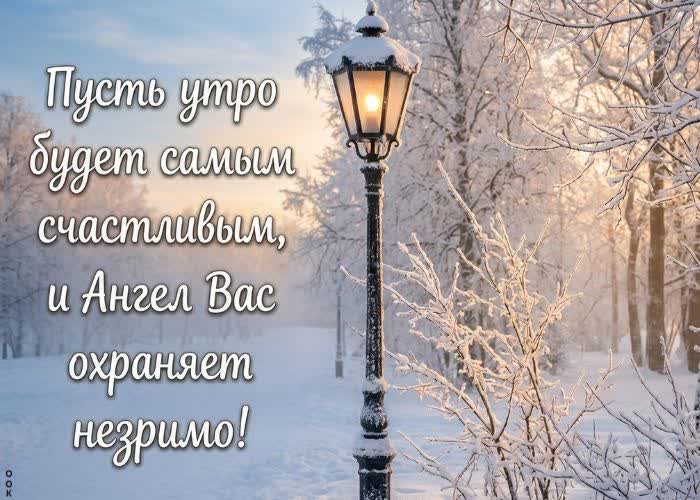Postcard уютного зимнего утра тебе!