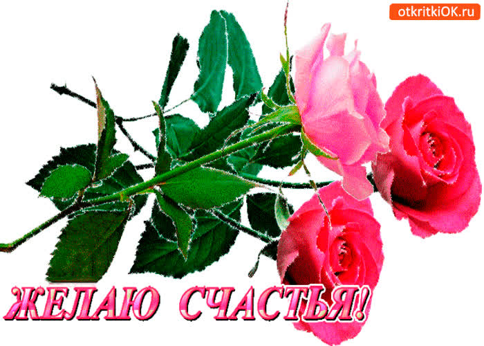 Картинка в день счастья розы тебе