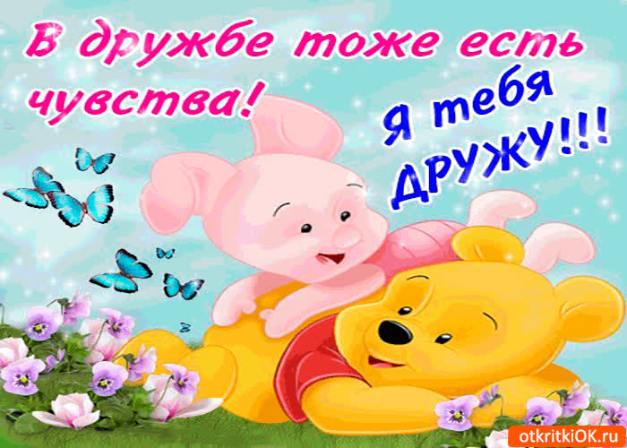 Картинка в дружбе тоже есть чувства. я тебя дружу