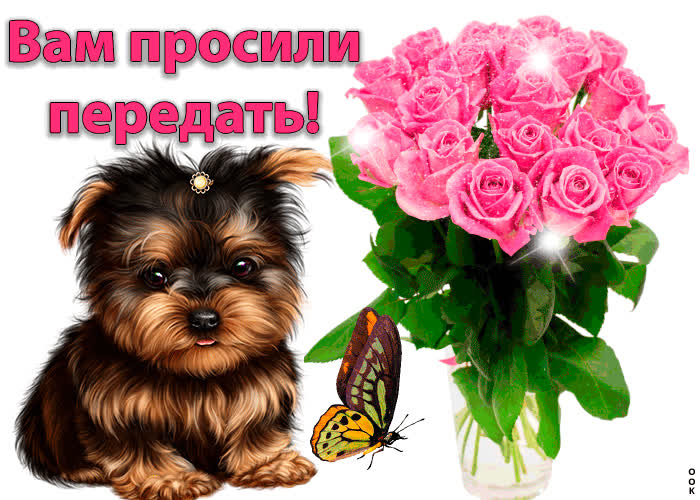Картинка вам просили передать!