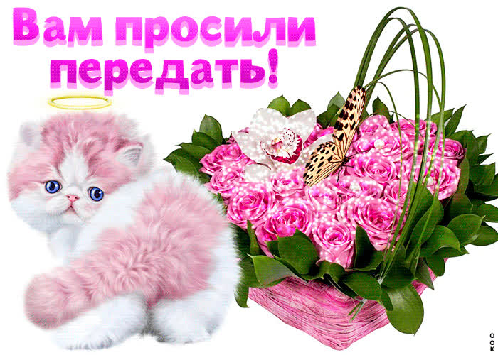 Картинка вам просили передать