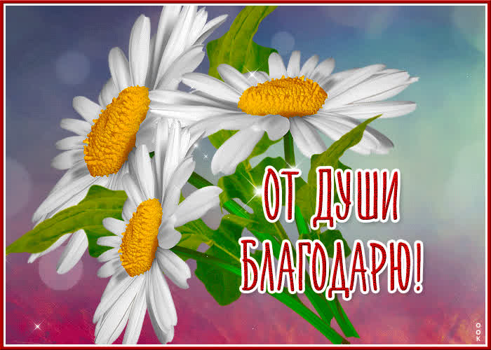 Picture вдохновляющая открытка от души благодарю!