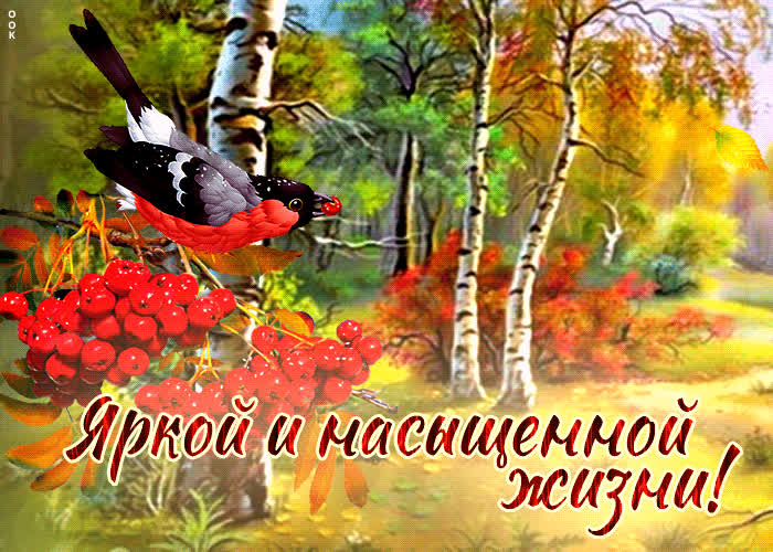 Picture веселая гиф-открытка яркой и насыщенной жизни