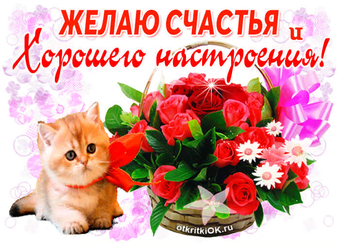 Картинка веселая и позитивная картинка для тебя