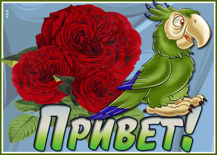 Картинка веселая картинка привет