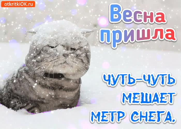 Картинка весна пришла картинка