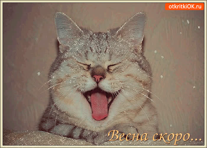 Картинка весна скоро придёт