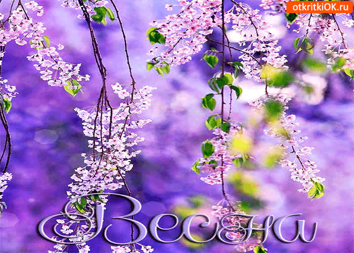 Картинка весна цветущая