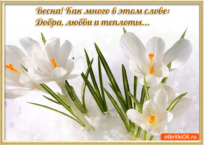 Картинка весна время добра