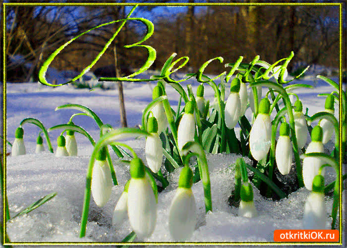 Картинка весна время мечтать