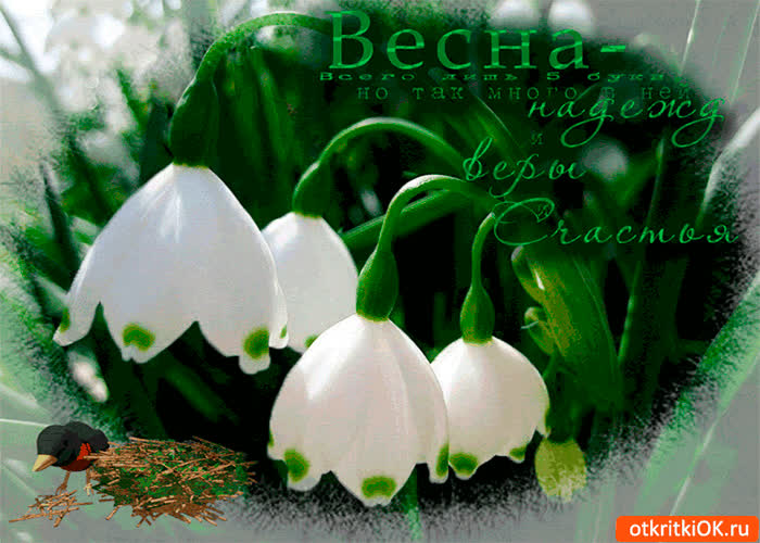 Картинка весна время новых надежд