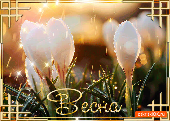 Картинка весна зелёная