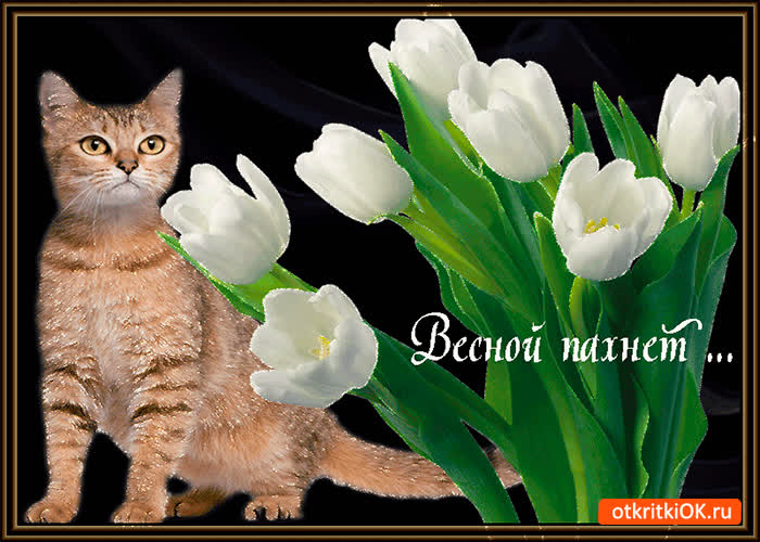 Картинка весною уже пахнет