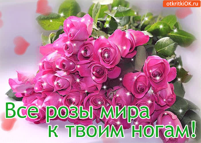 Картинка все розы мира к твоим ногам!