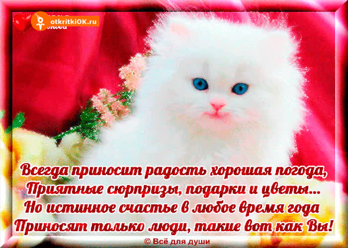 Картинка всегда приносим радость