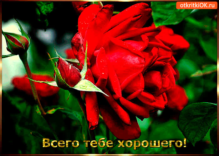Картинка всего тебе от меня хорошего